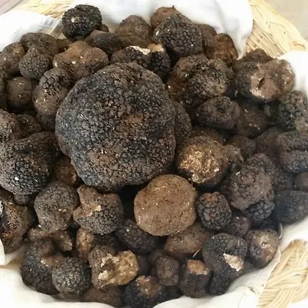 Il Casale Di Ginetto Casa rural *